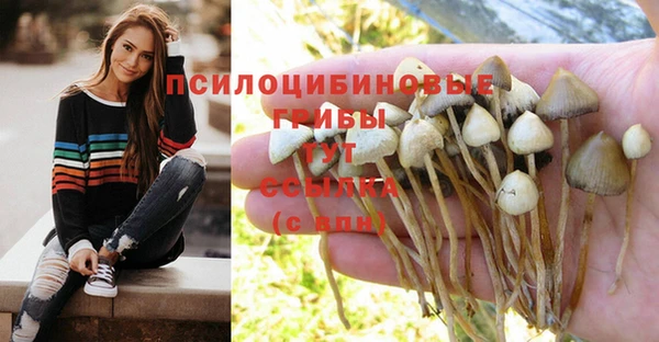 ГАЛЛЮЦИНОГЕННЫЕ ГРИБЫ Армянск