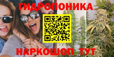 стафф Заволжье